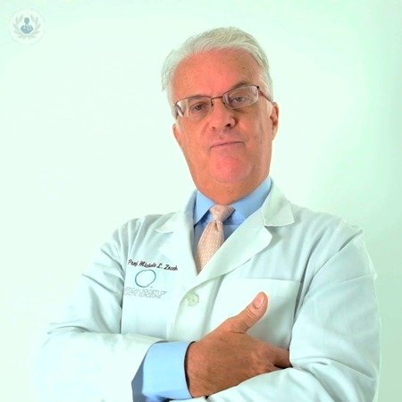 Professor Michele Zocchi