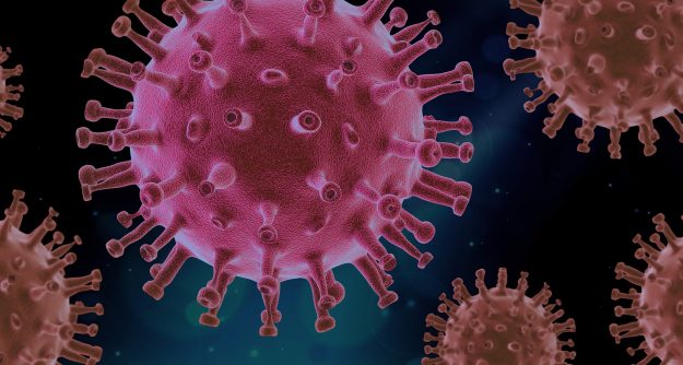 Covid 19 ricerca – Covid 19 pandemic